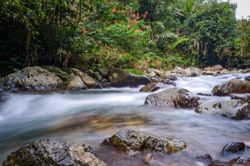 Oyo 92966 Bukit Awan